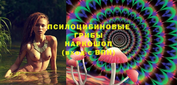 СК Медвежьегорск