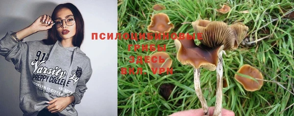 ГАЛЛЮЦИНОГЕННЫЕ ГРИБЫ Мегион