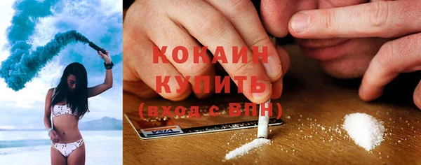 СК Медвежьегорск