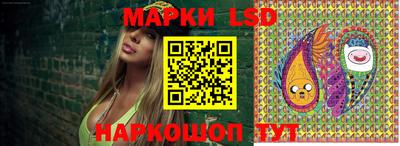 сатива Кандалакша