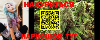 сатива Кандалакша