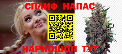 сатива Кандалакша