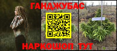 круглые Камышлов