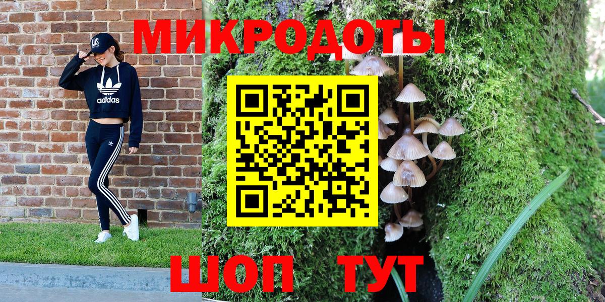 купить наркоту  Вход с VPN  Мыски  Псилоцибиновые грибы Psilocybe 