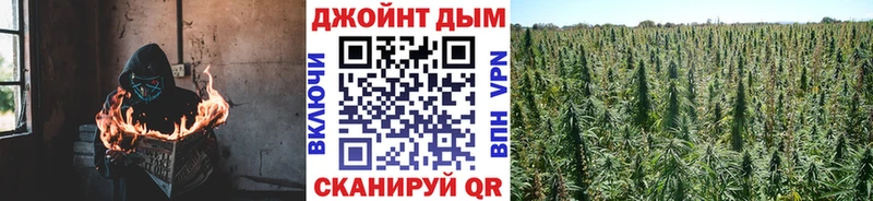 Конопля семена  Мыски 